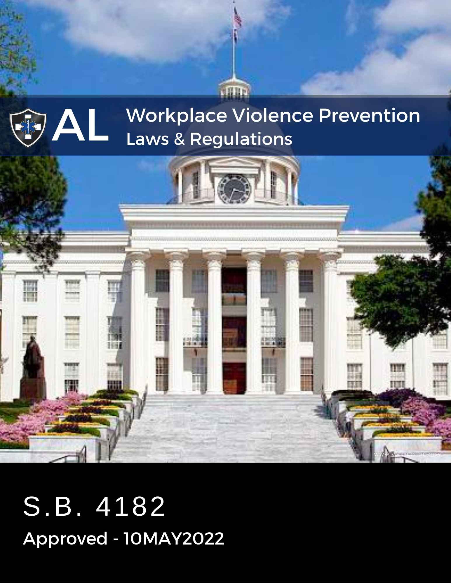 Alabama Laws and Regulations MABPRO