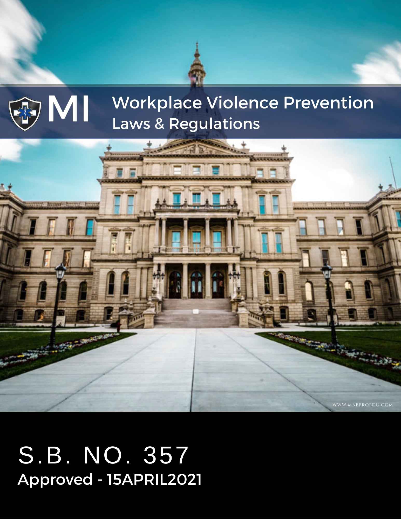 Michigan Laws and Regulations MABPRO