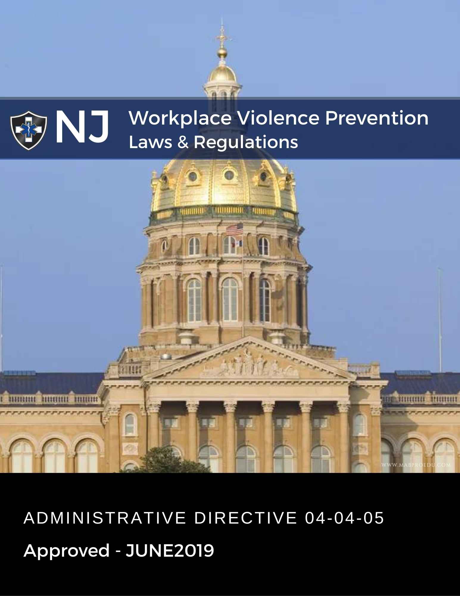 New Jersey Laws and Regulations MABPRO