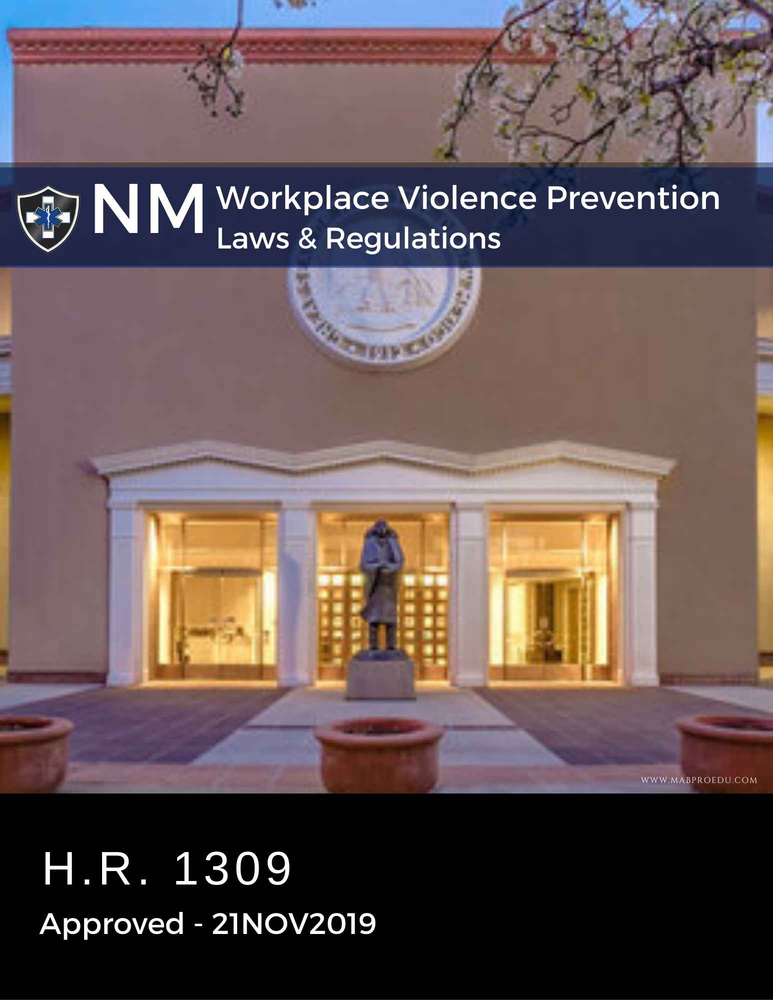 New Mexico Laws and Regulations MABPRO