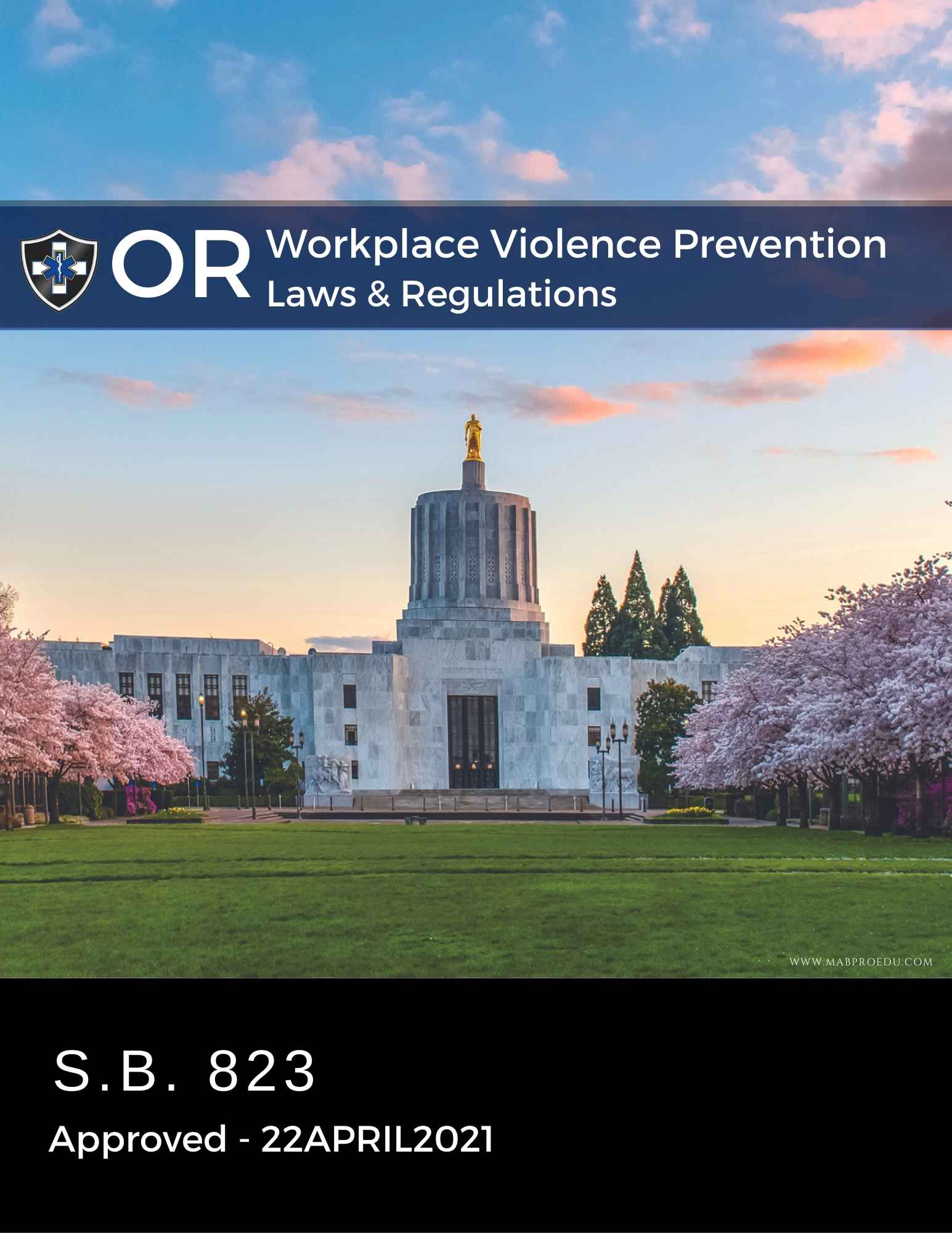 Oregon Laws and Regulations MABPRO